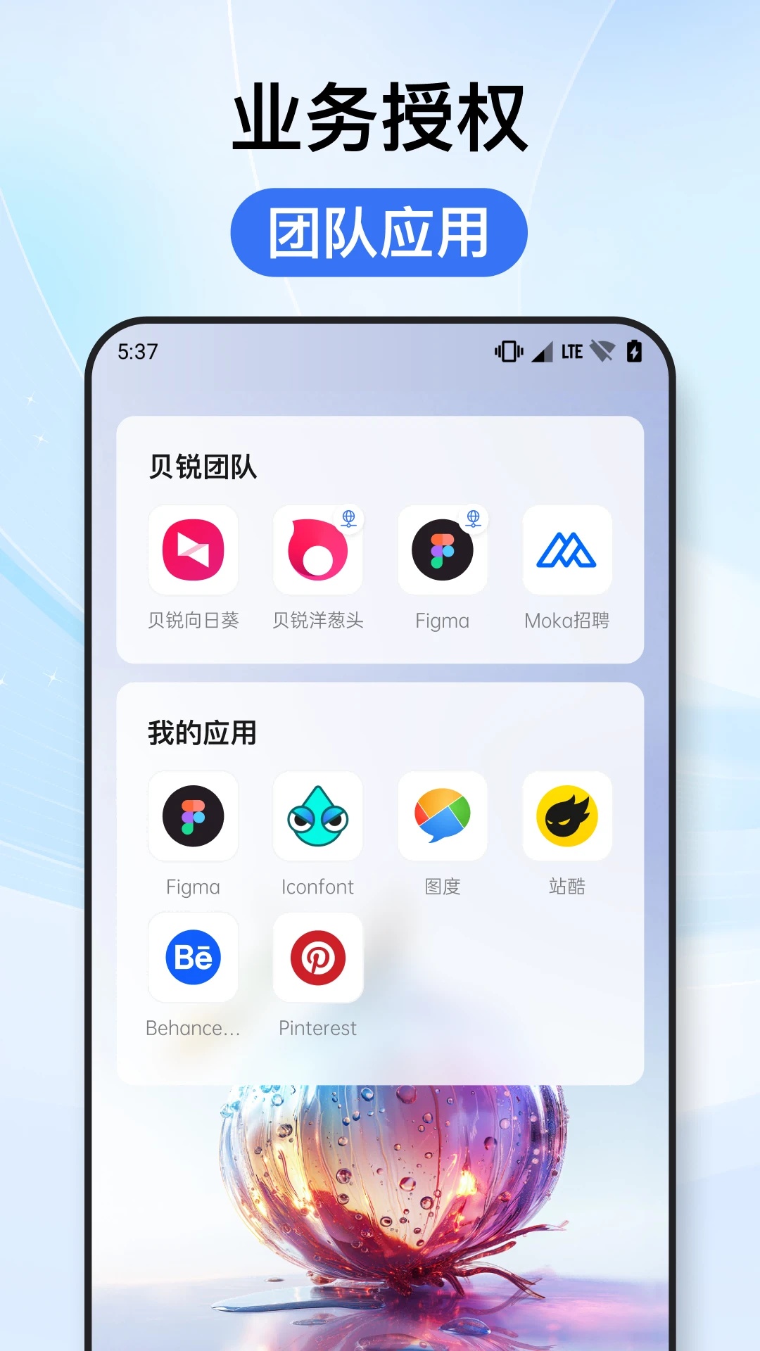 贝锐洋葱头软件 v1.0.8 官方版
