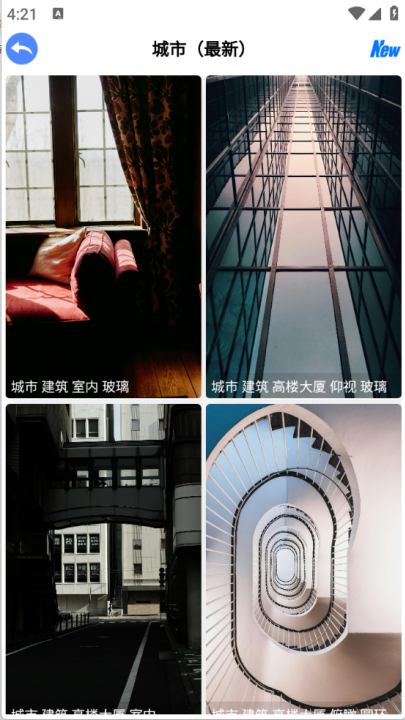 波奇壁纸高清版 v1.0.1 最新版