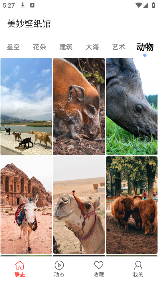 美妙壁纸馆app v1.3 最新版