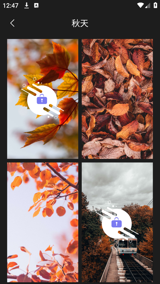 我的桌面壁纸app v1.7 手机版