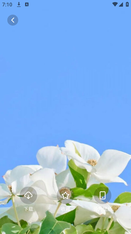 蜜桃壁纸主题 v1.3 最新版