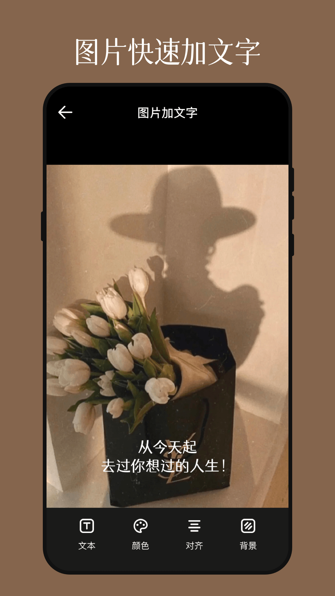 影视图片编辑器app v3.1.2 安卓版