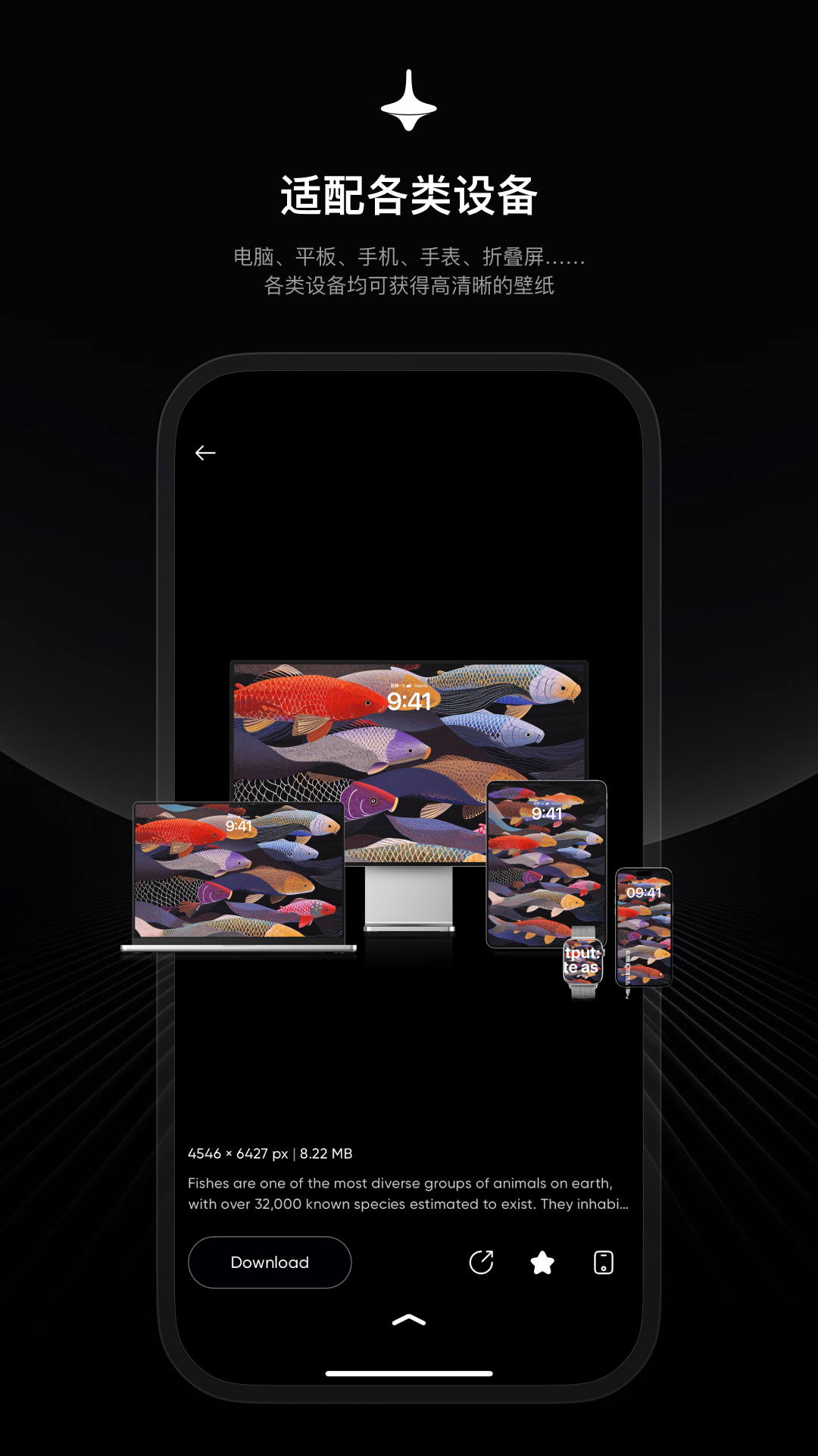 时空壁纸app v2.1.2 最新版