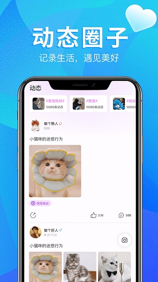 回声语音app
