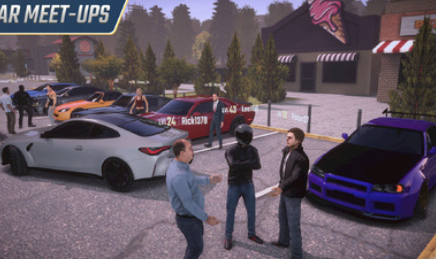 多人停车大师2游戏(停车大师联机版2)