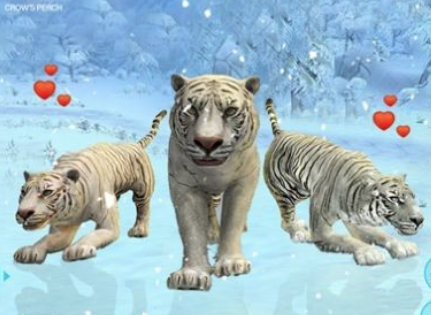 野生白虎家庭模拟(Wild White Tiger Family Sim)
