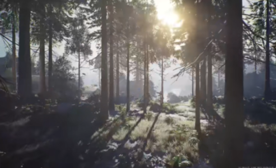 夜鸦游戏 夜鸦游戏