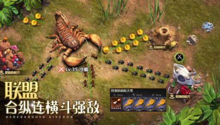 小小蚁国华为版本 小小蚁国华为版本