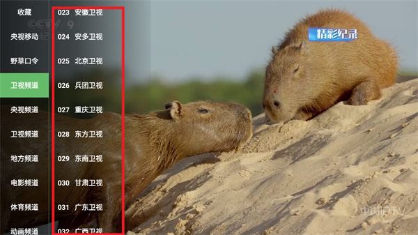 李大湿TV电视版