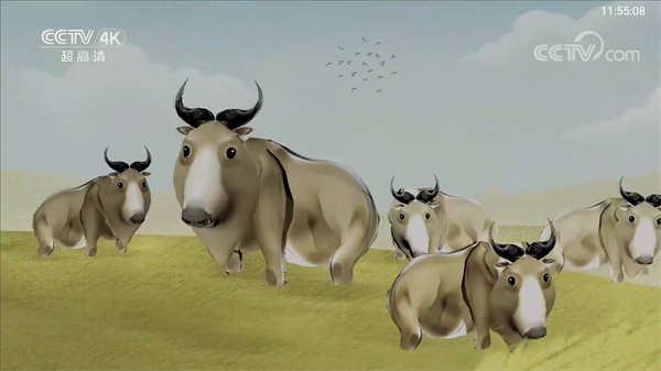 TVBox直播TV版 TVBox直播TV版