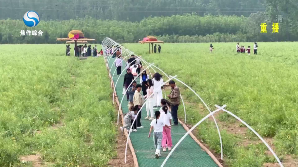 云雾TV电视安卓版 云雾TV电视安卓版