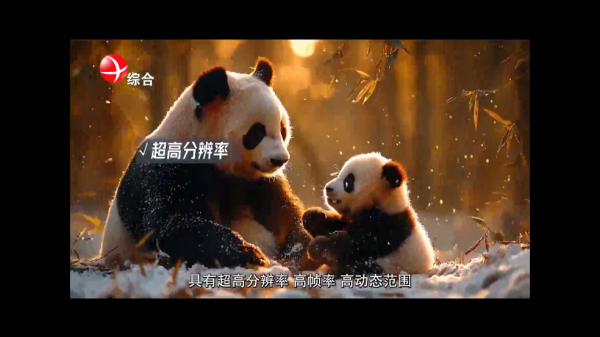 云雾TV电视安卓版 云雾TV电视安卓版