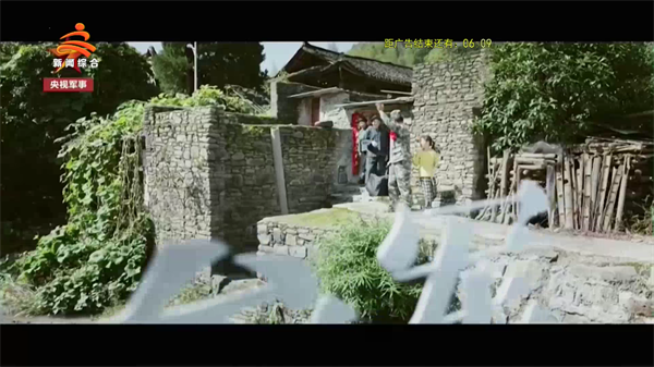 彩旗鸟影视TV版