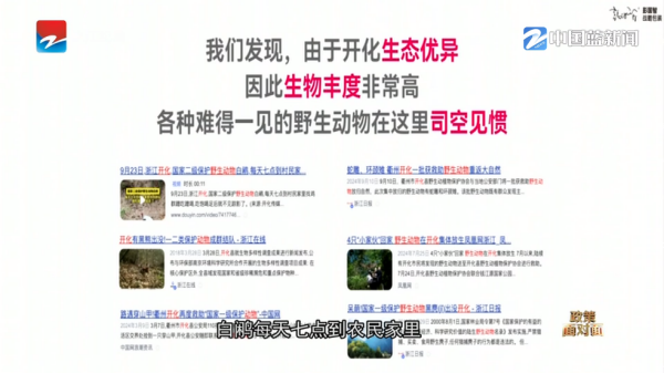 IPv6高级版电视直播