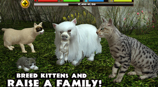 流浪猫模拟器(StrayCatSim) v1 安卓版