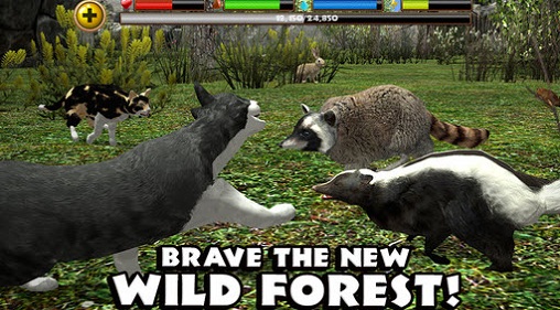 流浪猫模拟器(StrayCatSim) v1 安卓版