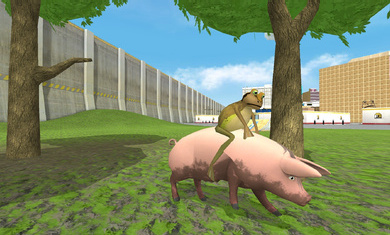 神奇青蛙游戏 v2.20 安卓版