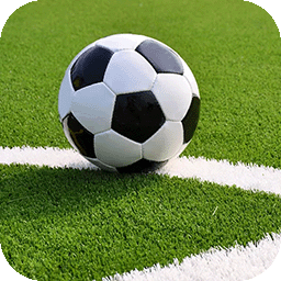 我是足球先生游戏下载安装 v1.0 安卓版 我是足球先生游戏下载安装 v1.0 安卓版