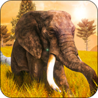 超级大象模拟器(Super Elephant Simulator Games) v1.0.4 安卓版 超级大象模拟器(Super Elephant Simulator Games) v1.0.4 安卓版