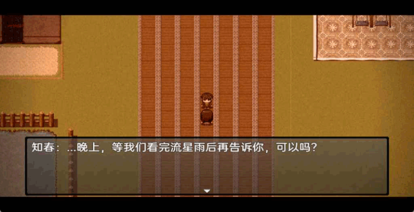 流星降临的小镇来自过去的幽灵游戏下载 v1.01 安卓版