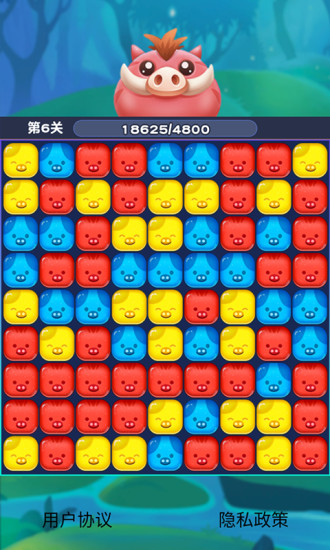 猪猪爱消消赚现金 v2.0.5 最新版