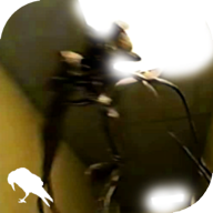 The Backrooms游戏 v1.0.3 安卓版