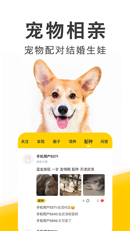 有只宠物app v2.3.8 安卓最新版