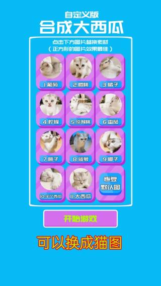 自定义版合成大西瓜下载安装 v0.1 安卓版