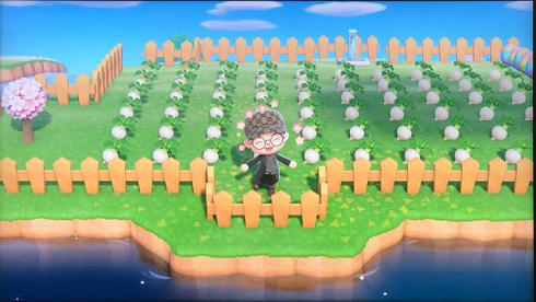 动物森友会(Pocket Camp) v5.0.2 安卓版