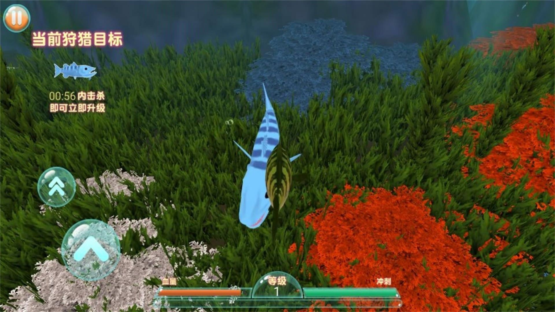 进击的鱼鱼游戏 v1.0.1 安卓版