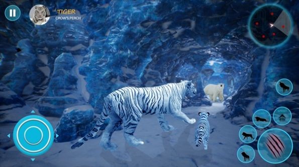 野生白虎家庭模拟(Wild White Tiger Family Sim) v1.0 安卓版
