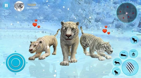 野生白虎家庭模拟(Wild White Tiger Family Sim) v1.0 安卓版