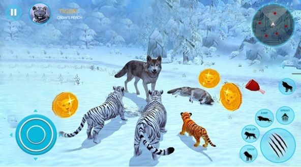 野生白虎家庭模拟(Wild White Tiger Family Sim) v1.0 安卓版