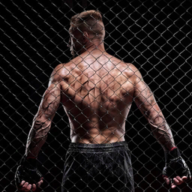 真实摔跤游戏下载(Real Wrestling) v0.1 安卓版