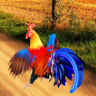 疯狂大跑酷手游下载 v1.0.2 安卓版 疯狂大跑酷手游下载 v1.0.2 安卓版