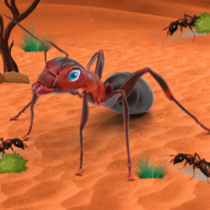蚂蚁模拟器昆虫进化Ant Simulator v1.0.1 安卓版