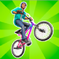 BMX特技大师3D游戏(BMX tricks master 3d) v0.1 安卓版