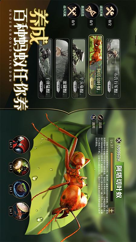 小小蚁国华为版本 v1.59.0 最新版