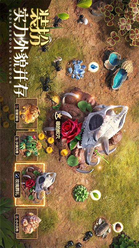 小小蚁国华为版本 v1.59.0 最新版