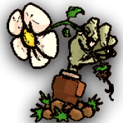 植物大战僵尸sIs版 v1.3.2 安卓版