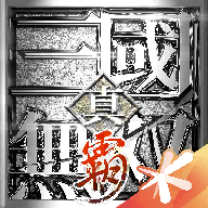 真三国无双霸手游 v1.3.2 安卓版 真三国无双霸手游 v1.3.2 安卓版