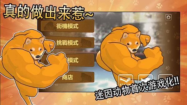 动物之斗手游 v1.0.11 最新版