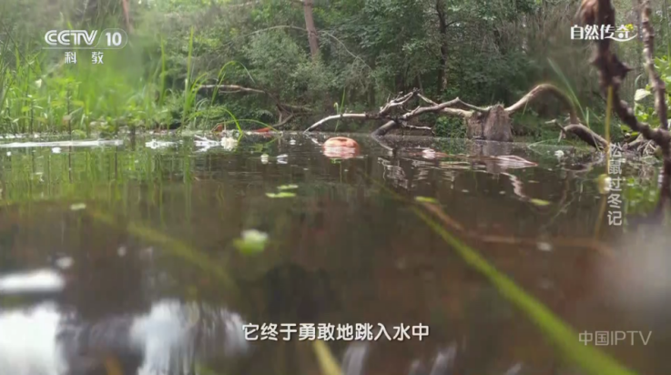 欧歌影视2025电视版 v6.0.5.1 最新版