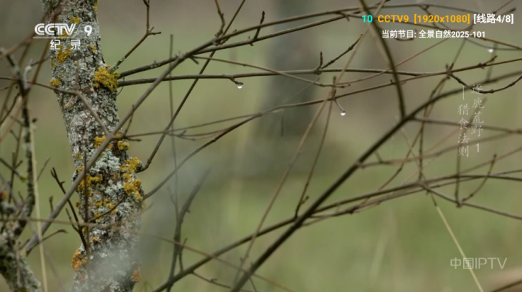 欧歌影视2025电视版 v6.0.5.1 最新版