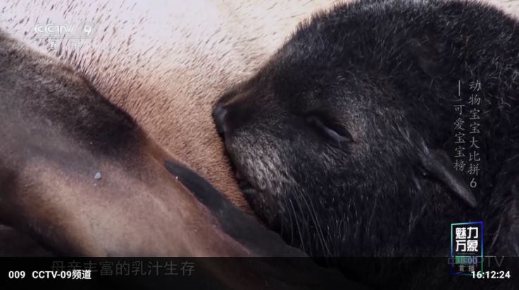 武则天tv电视版本下载 v20250407 安卓版