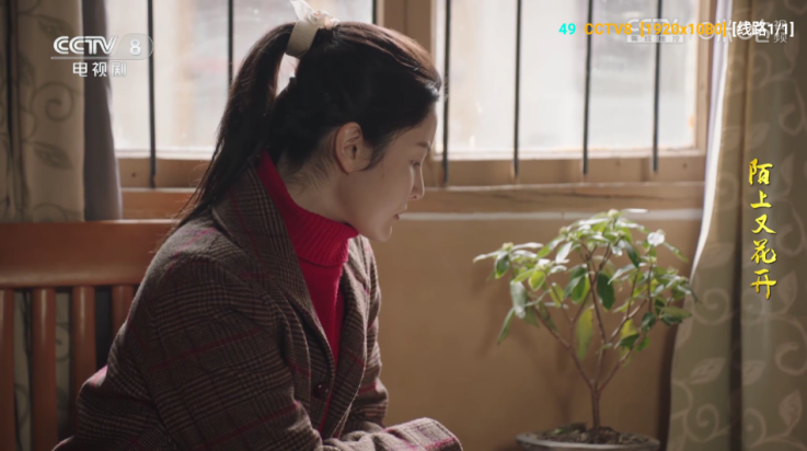 傲雪白梅官方正版下载 v6.0.4.1 最新版