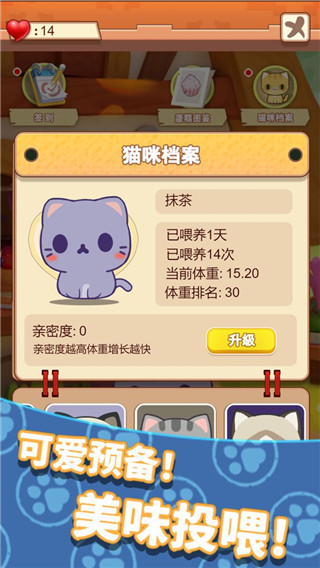 养只大肥猫游戏 v1.0 安卓版