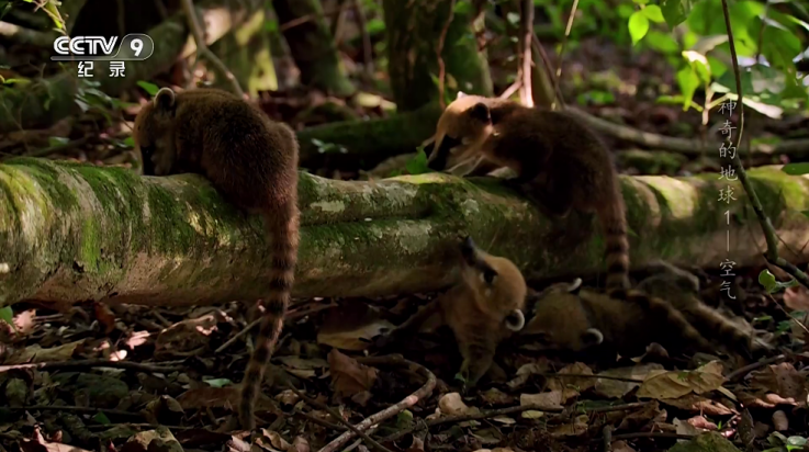 海燕直播app v4.2.0 最新版