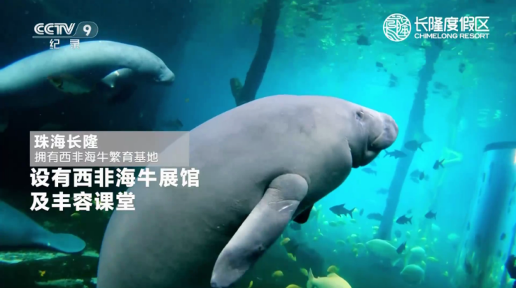 宽带电视tv版 v1.4.46 最新版