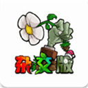 植物大战僵尸杂交版魔改版 v2.1 最新版 植物大战僵尸杂交版魔改版 v2.1 最新版